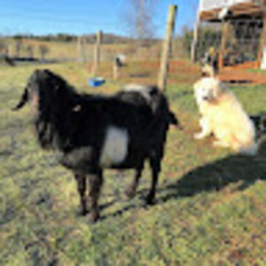 Meet your Posher, Summer